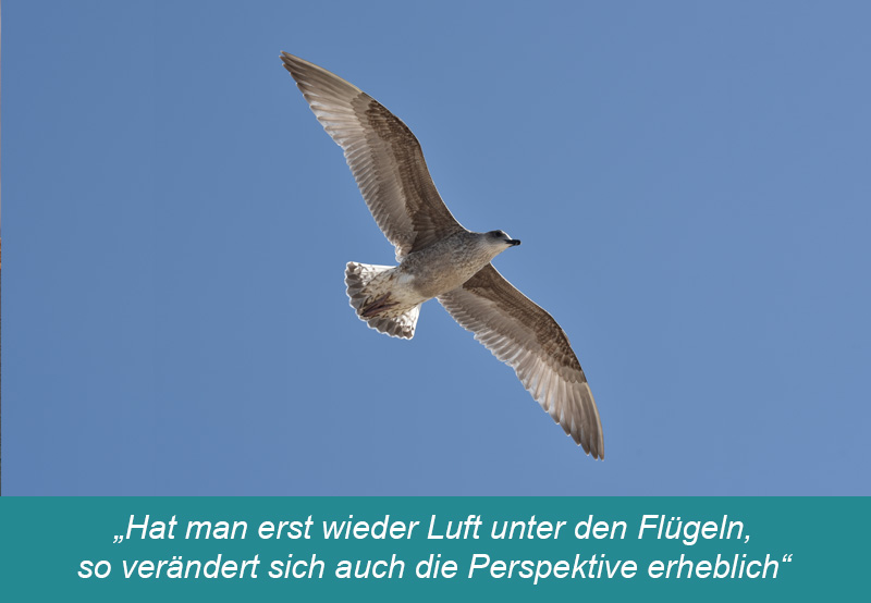 gespraechstherapie